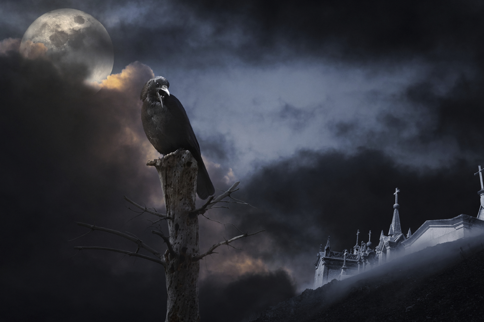 october-raven-by-john-north-used-with-permission-istockphoto.jpg